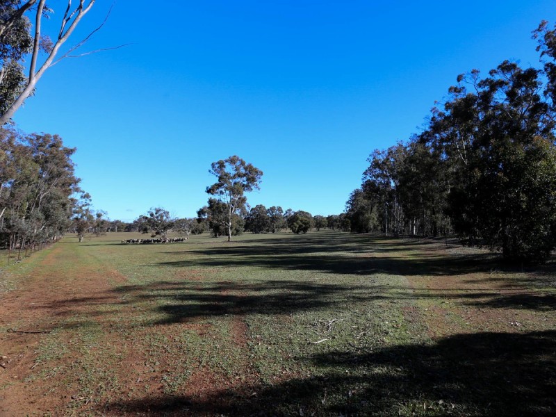 Lot 5495 Coondle West Road, Toodyay WA 6566