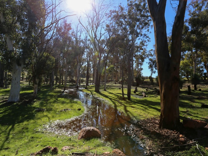 Lot 5495 Coondle West Road, Toodyay WA 6566