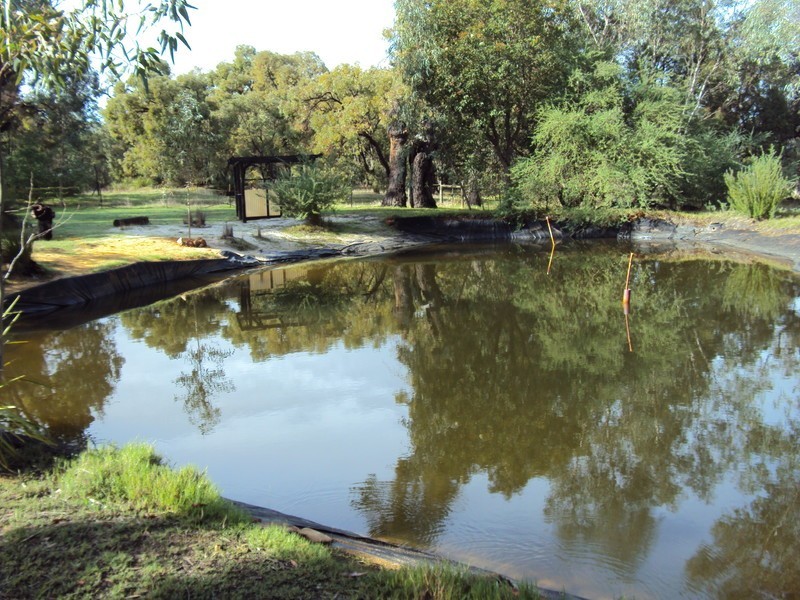 19 Howard Road, Toodyay WA 6566