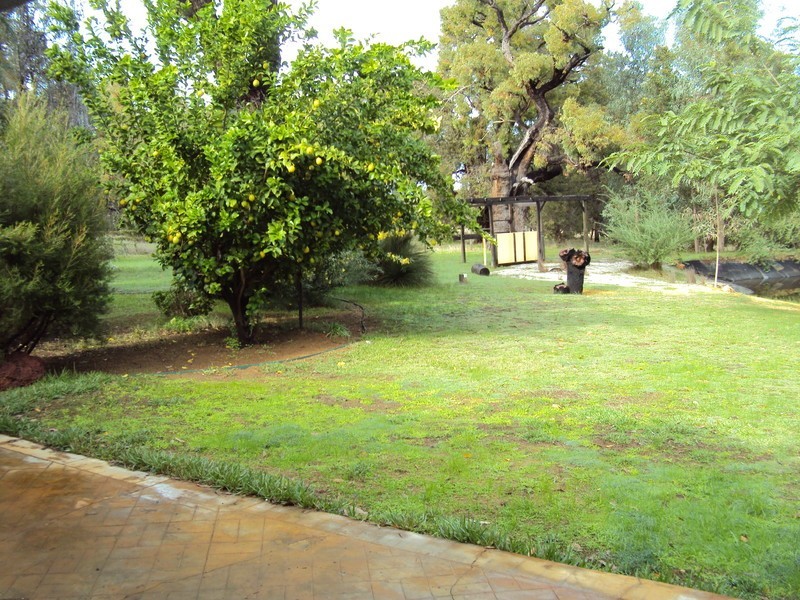 19 Howard Road, Toodyay WA 6566