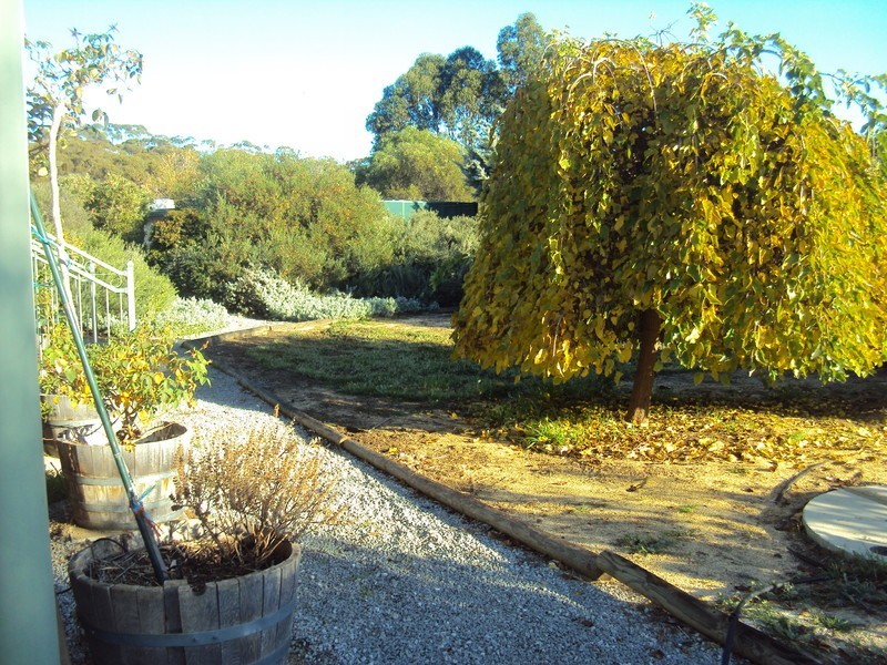 128 Folewood Road, Toodyay WA 6566