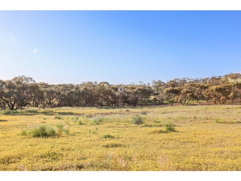 2278 Bindi Bindi-Toodyay Road, Toodyay WA 6566