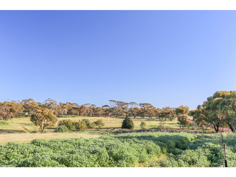 2278 Bindi Bindi-Toodyay Road, Toodyay WA 6566