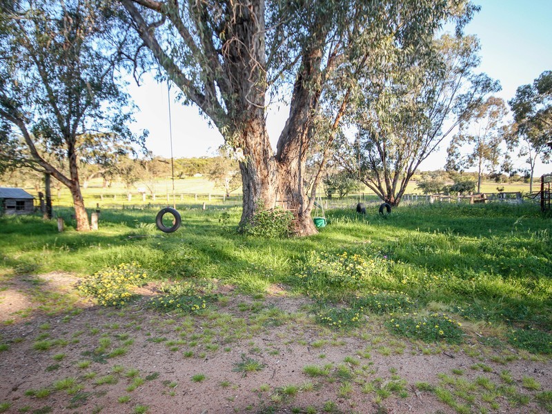 782 Bindi – Bindi Road, Coondle WA 6566
