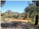 55 Drummondi Drive, Toodyay WA 6566