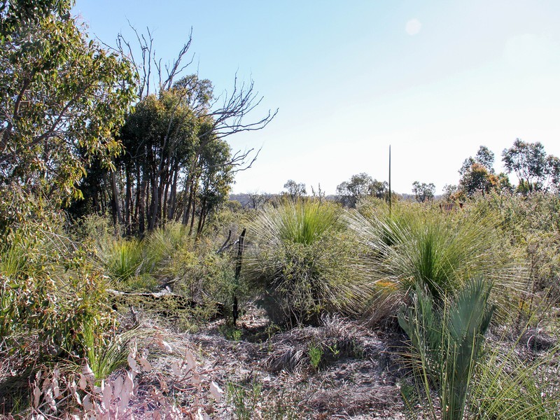 55 Drummondi Drive, Toodyay WA 6566