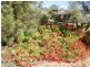 55 Drummondi Drive, Toodyay WA 6566