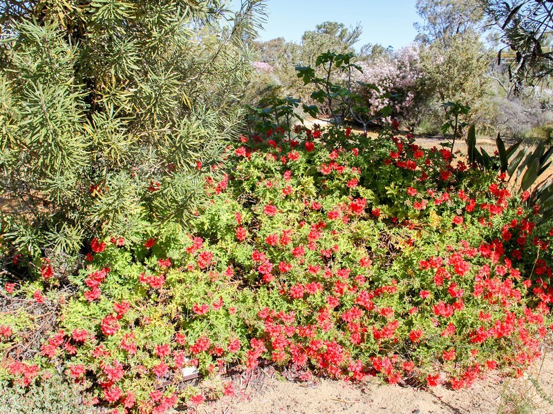 55 Drummondi Drive, Toodyay WA 6566