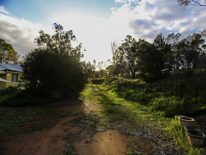 54 Wellington Street, Toodyay WA 6566