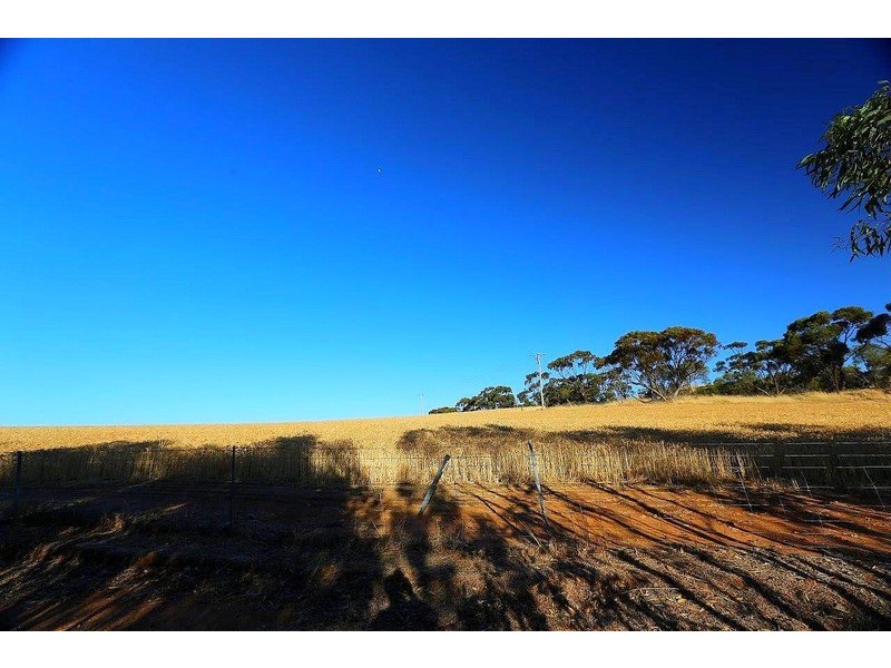 Lot 309/18 Tomkins Bend, Toodyay WA 6566