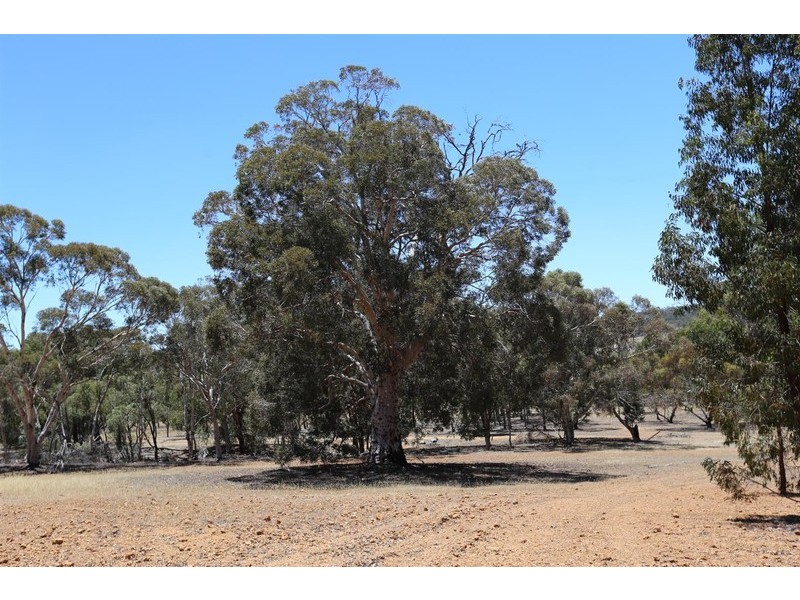 C/680 Clackline-Toodyay Road, Toodyay WA 6566