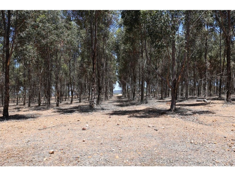 C/680 Clackline-Toodyay Road, Toodyay WA 6566