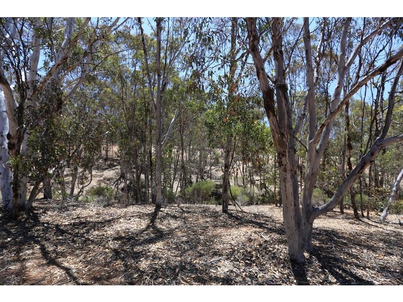 C/680 Clackline-Toodyay Road, Toodyay WA 6566