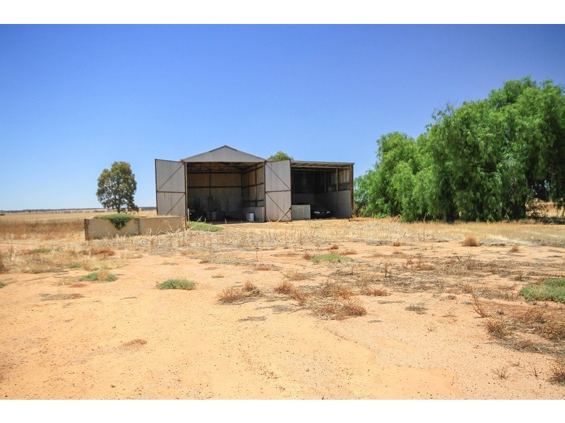 20 Last Road, Merredin WA 6415