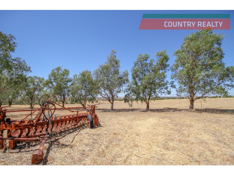 325 Rickeys Road, Beverley WA 6304