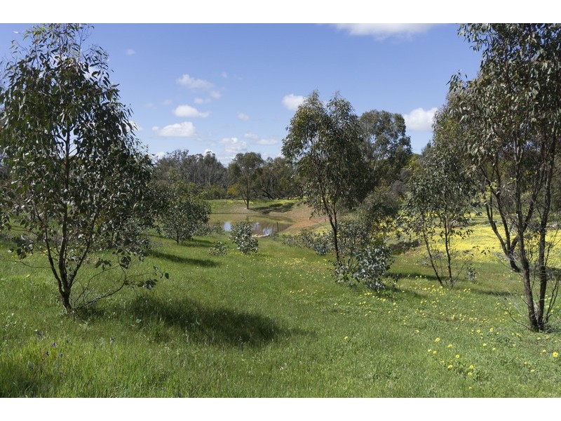 88 Dreyer Road, Toodyay WA 6566