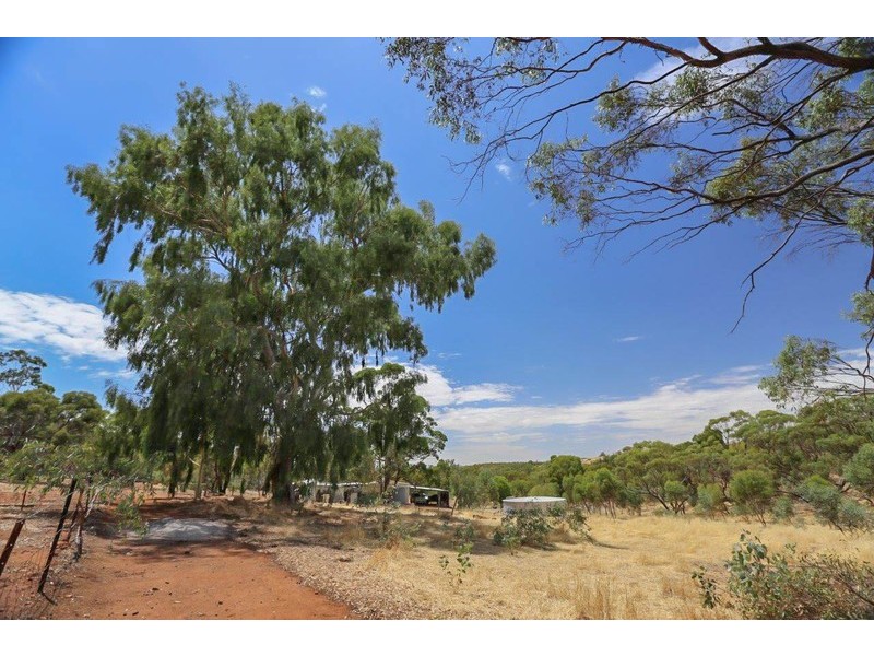 88 Dreyer Road, Toodyay WA 6566