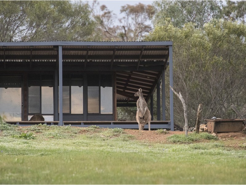 88 Dreyer Road, Toodyay WA 6566