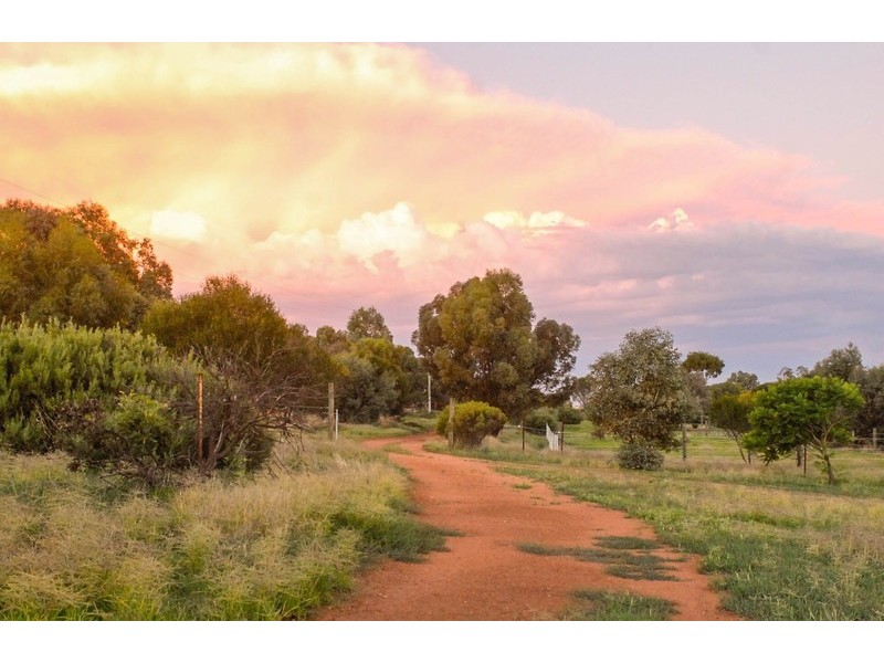 523 Wongamine Road, Northam WA 6401