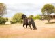 523 Wongamine Road, Northam WA 6401
