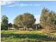 523 Wongamine Road, Northam WA 6401