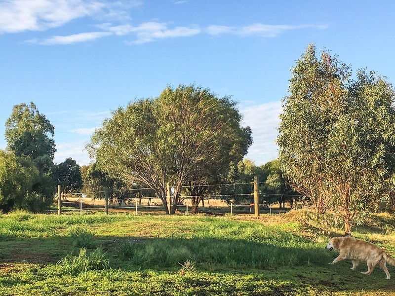 523 Wongamine Road, Northam WA 6401