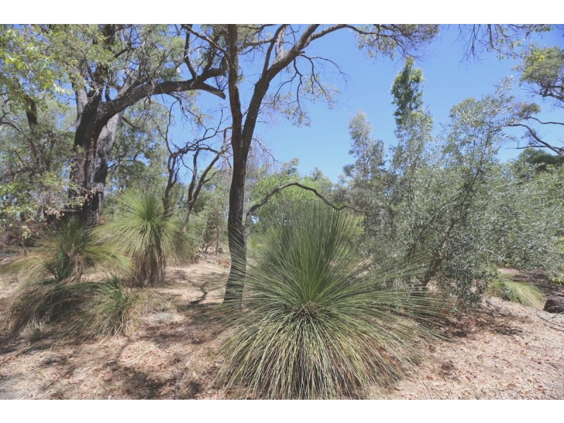 370 Mooliabeenee Road, Mooliabeenee WA 6504