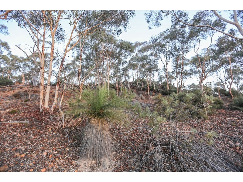 Lot 601/Twiligh Hoddys Well, Toodyay WA 6566
