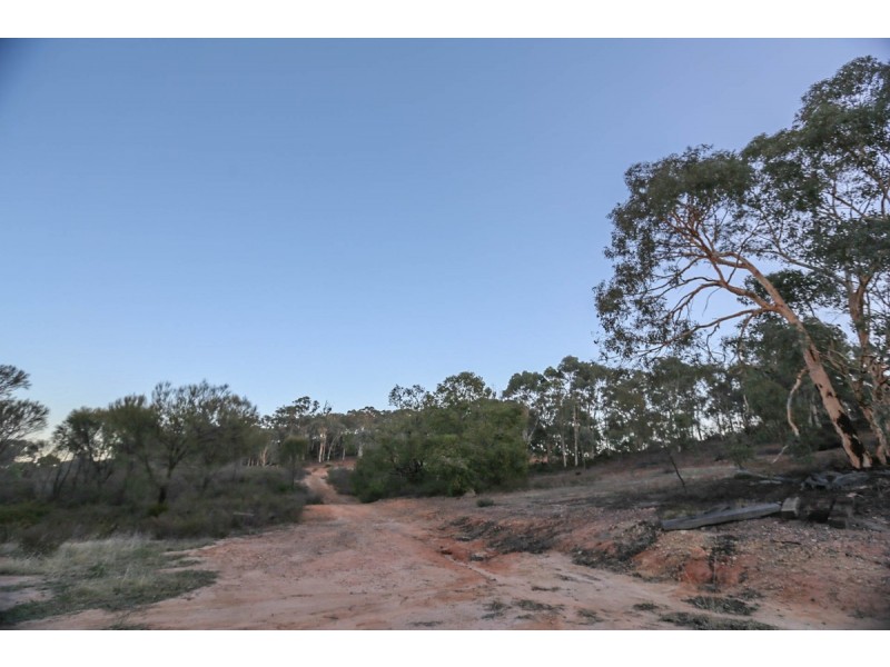 Lot 601/Twiligh Hoddys Well, Toodyay WA 6566