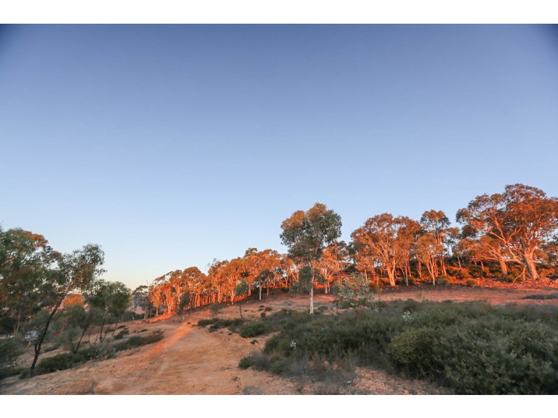 Lot 601/Twiligh Hoddys Well, Toodyay WA 6566