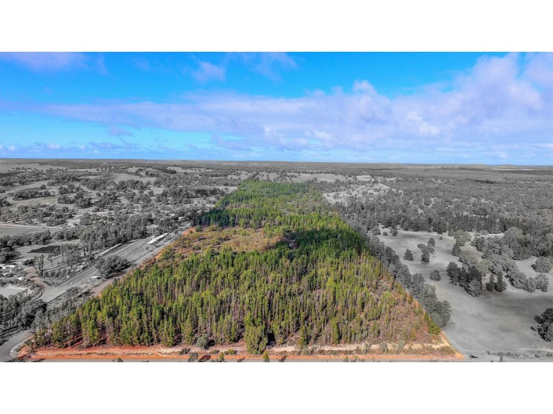 399 Cook Road, Mooliabeenee WA 6504