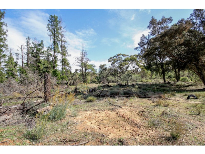 399 Cook Road, Mooliabeenee WA 6504