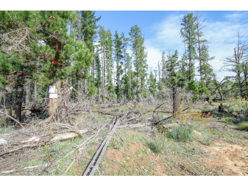 399 Cook Road, Mooliabeenee WA 6504