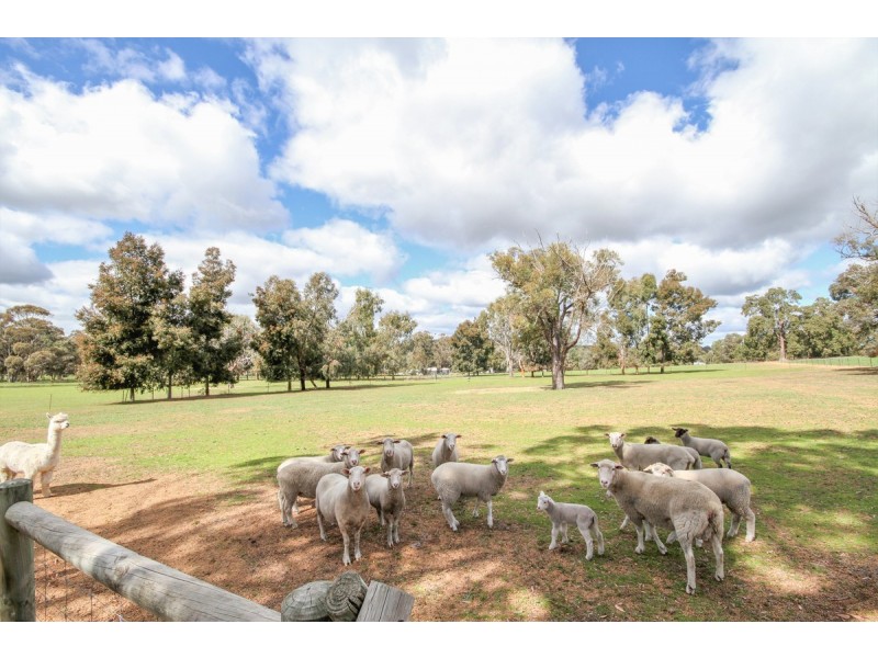 39 Valencia Lane, Bakers Hill WA 6562