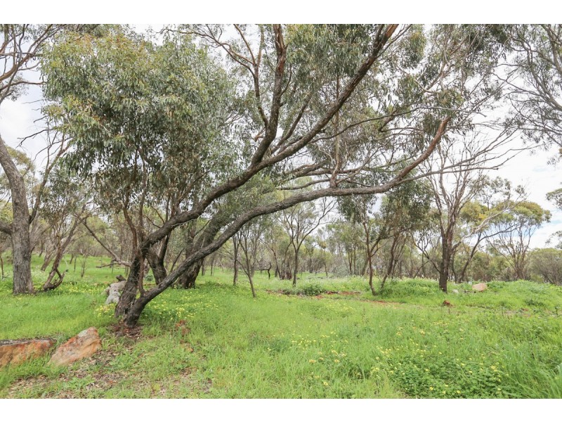 13 Hamersley Street, Toodyay WA 6566