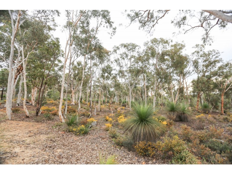 25 Laterite Way, Toodyay WA 6566