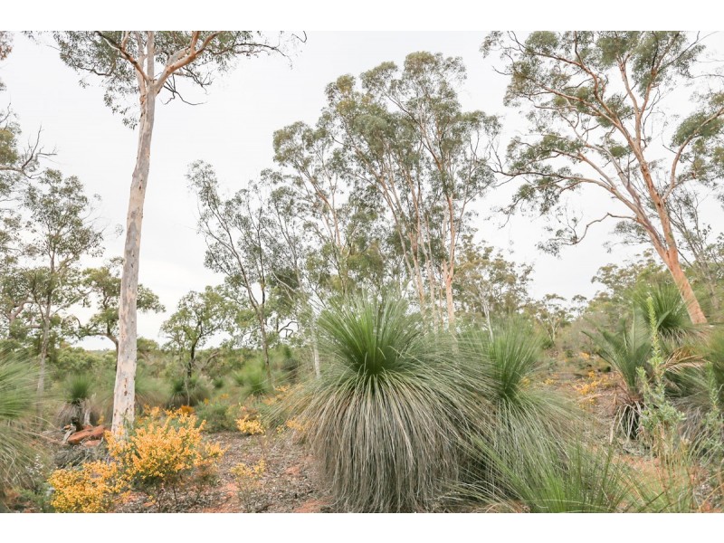 25 Laterite Way, Toodyay WA 6566