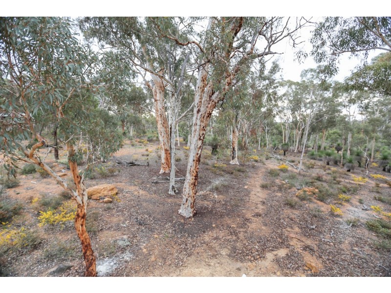 25 Laterite Way, Toodyay WA 6566