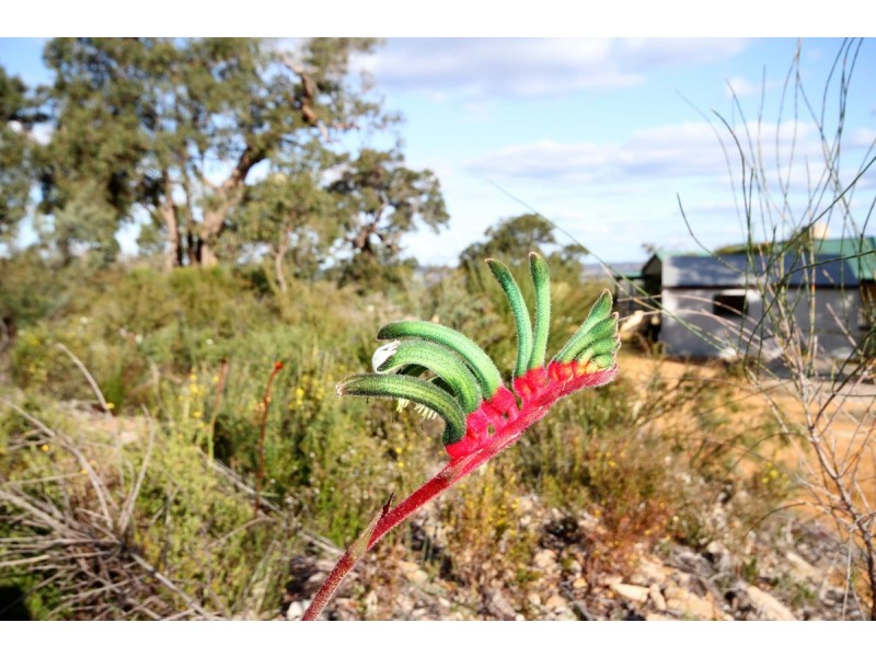 15 Pindi Place, Toodyay WA 6566