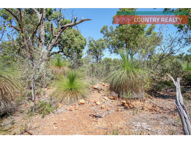 120 Ridley Circle, Toodyay WA 6566