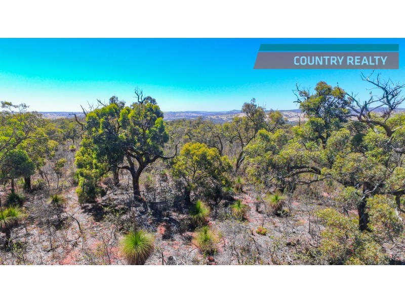 120 Ridley Circle, Toodyay WA 6566