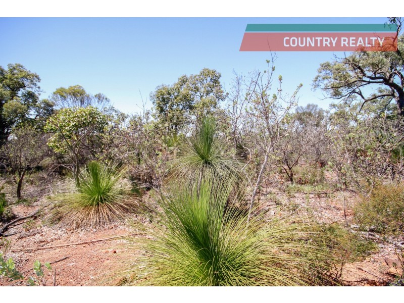 120 Ridley Circle, Toodyay WA 6566