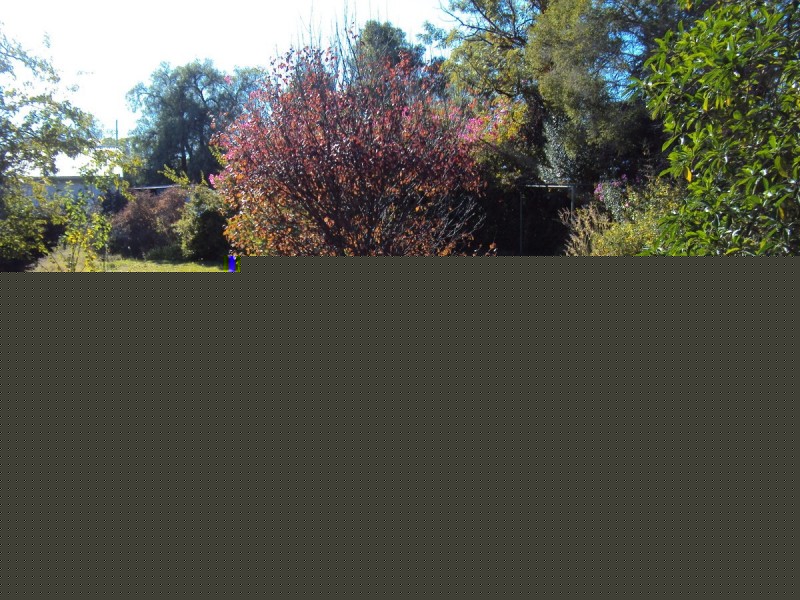 11 Hopetoun Avenue, Northam WA 6401