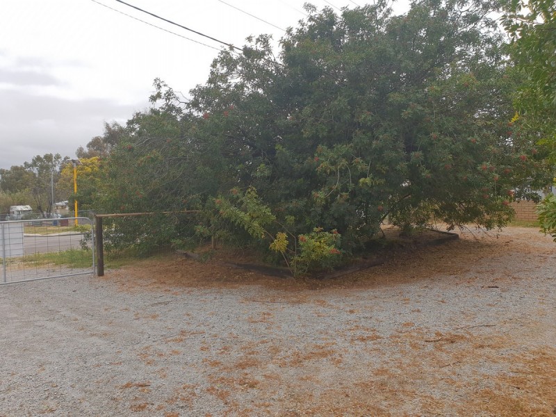 80 Hutt Street, Northam WA 6401