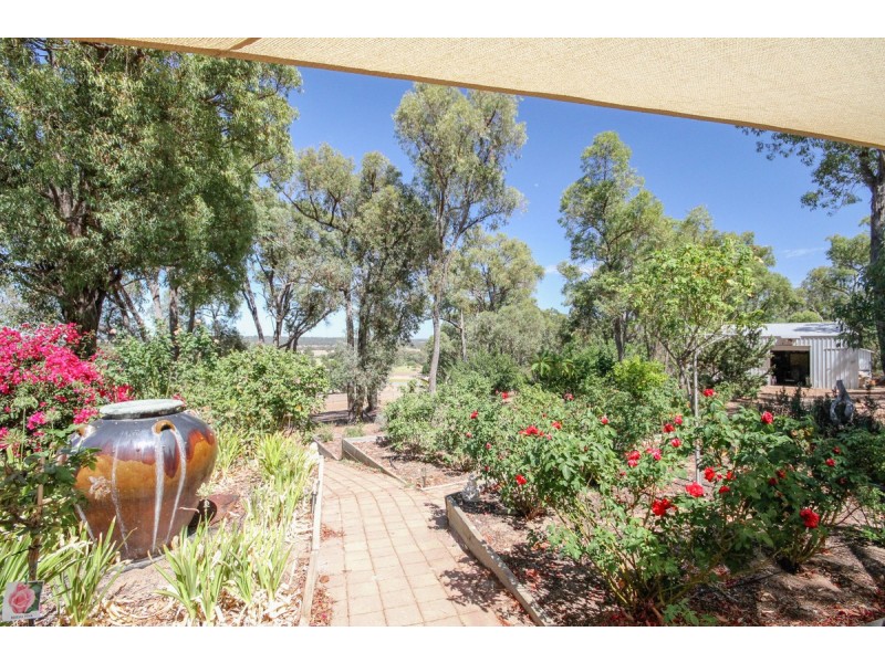153 Bodeguero Way, Wundowie WA 6560
