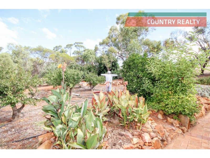 123 Julimar Road, Toodyay WA 6566