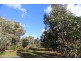 21 Darwinia Crescent, Toodyay WA 6566