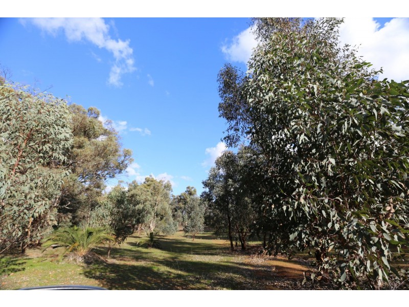 21 Darwinia Crescent, Toodyay WA 6566