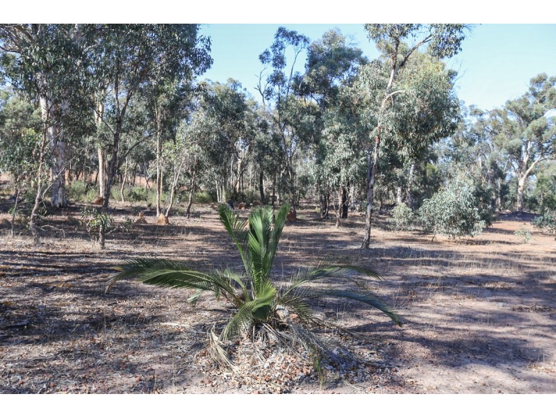 21 Darwinia Crescent, Toodyay WA 6566
