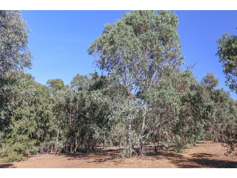 21 Darwinia Crescent, Toodyay WA 6566